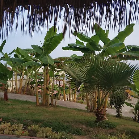 Apartamento Oba Suites *
